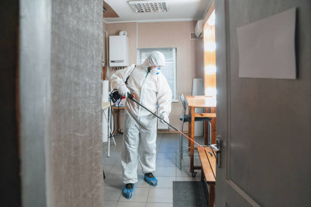 Best Emergency Mold Remediation  in Sonterra, TX