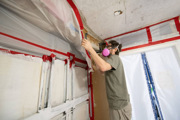 Mold Removal